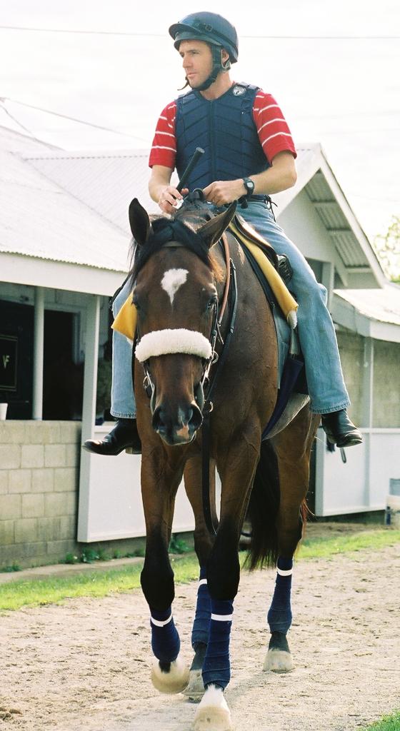 Barbaro and Peter Brette arriving back at the barn of trainer Michael Matz at Keeneland. (Carrie Curry photo)